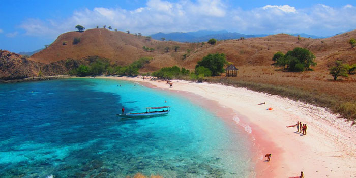 Pantai Pink Pulau Komodo